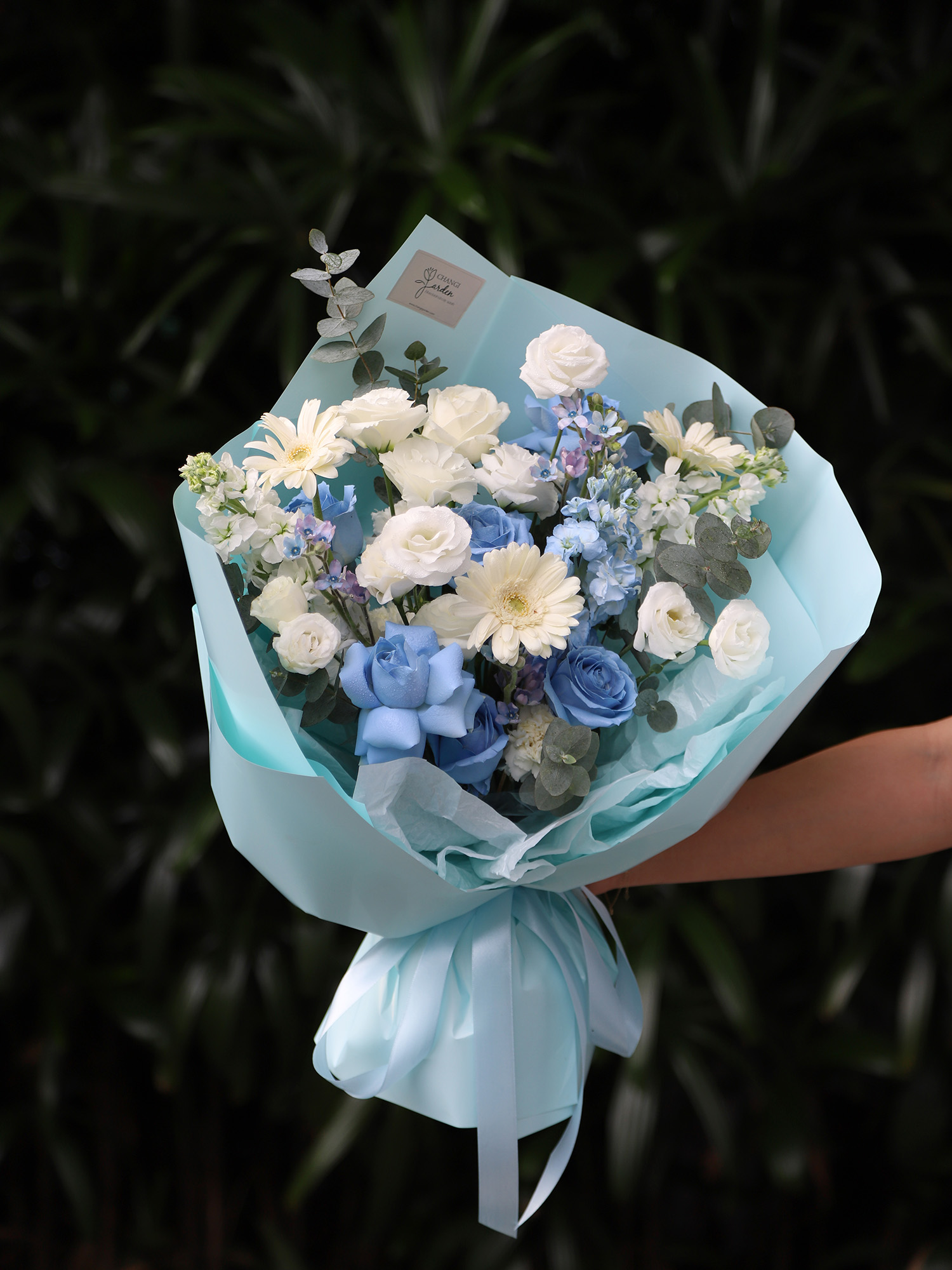 Xanh dương 004