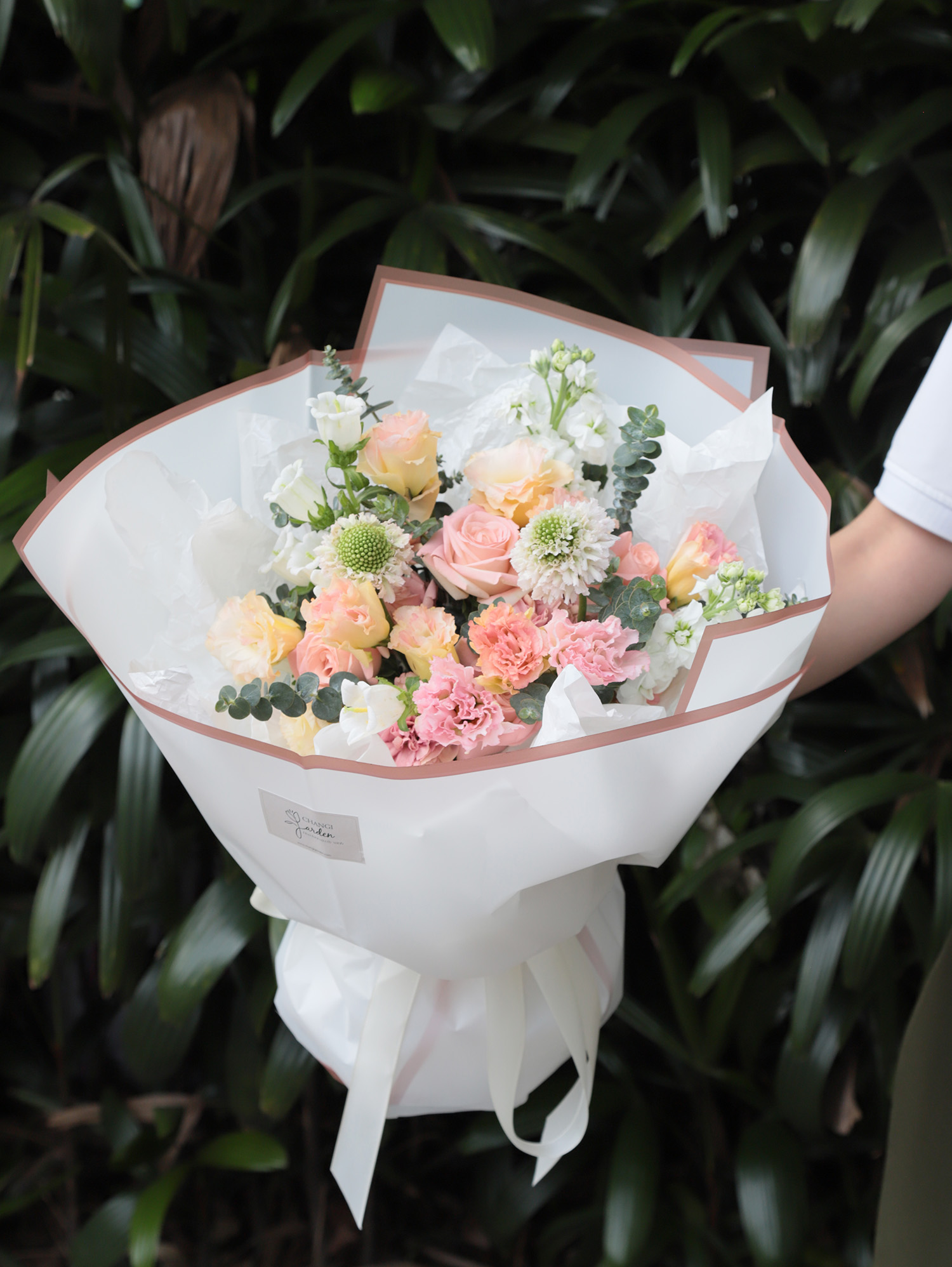 Hồng 005