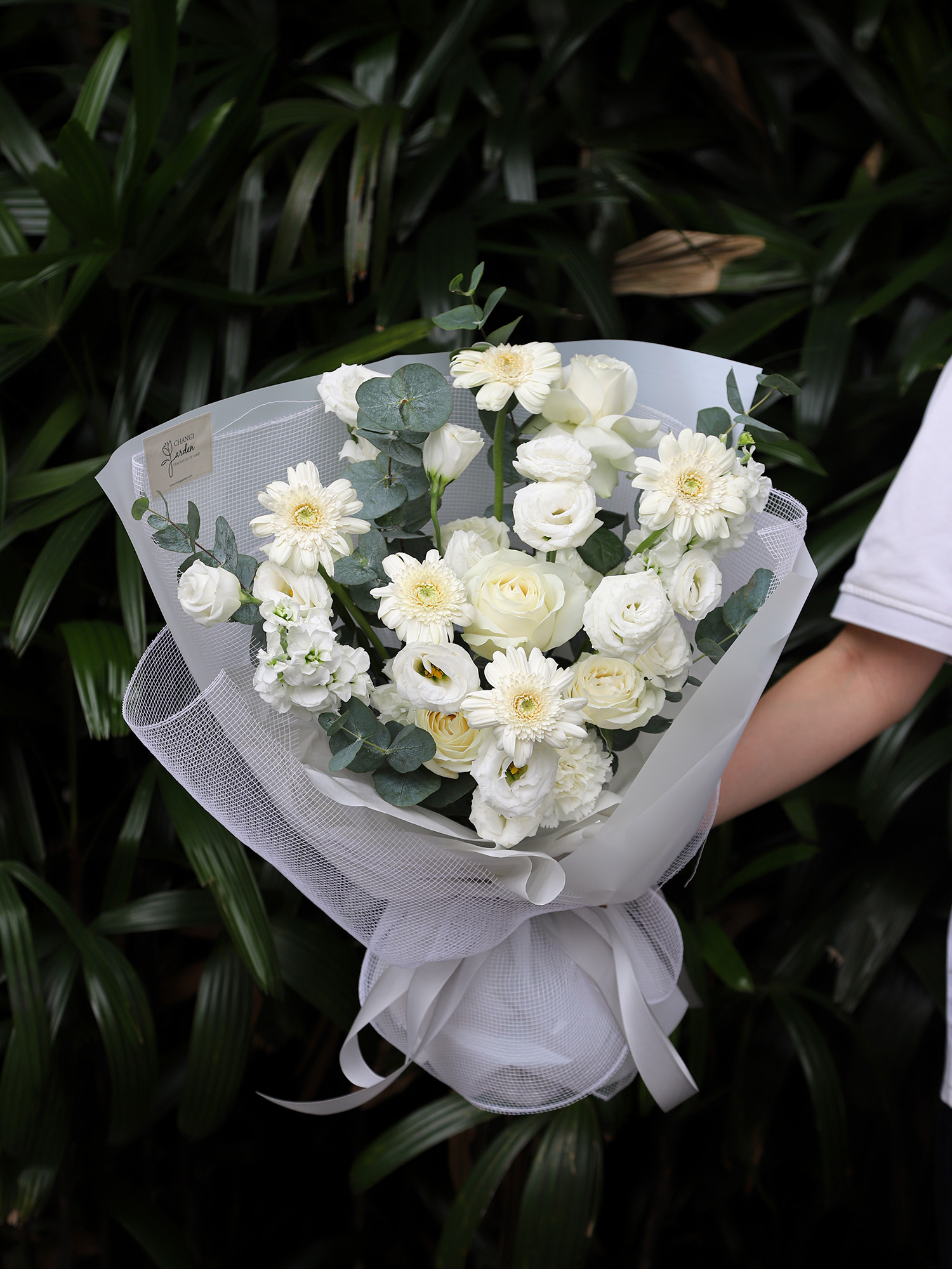 Trắng 002