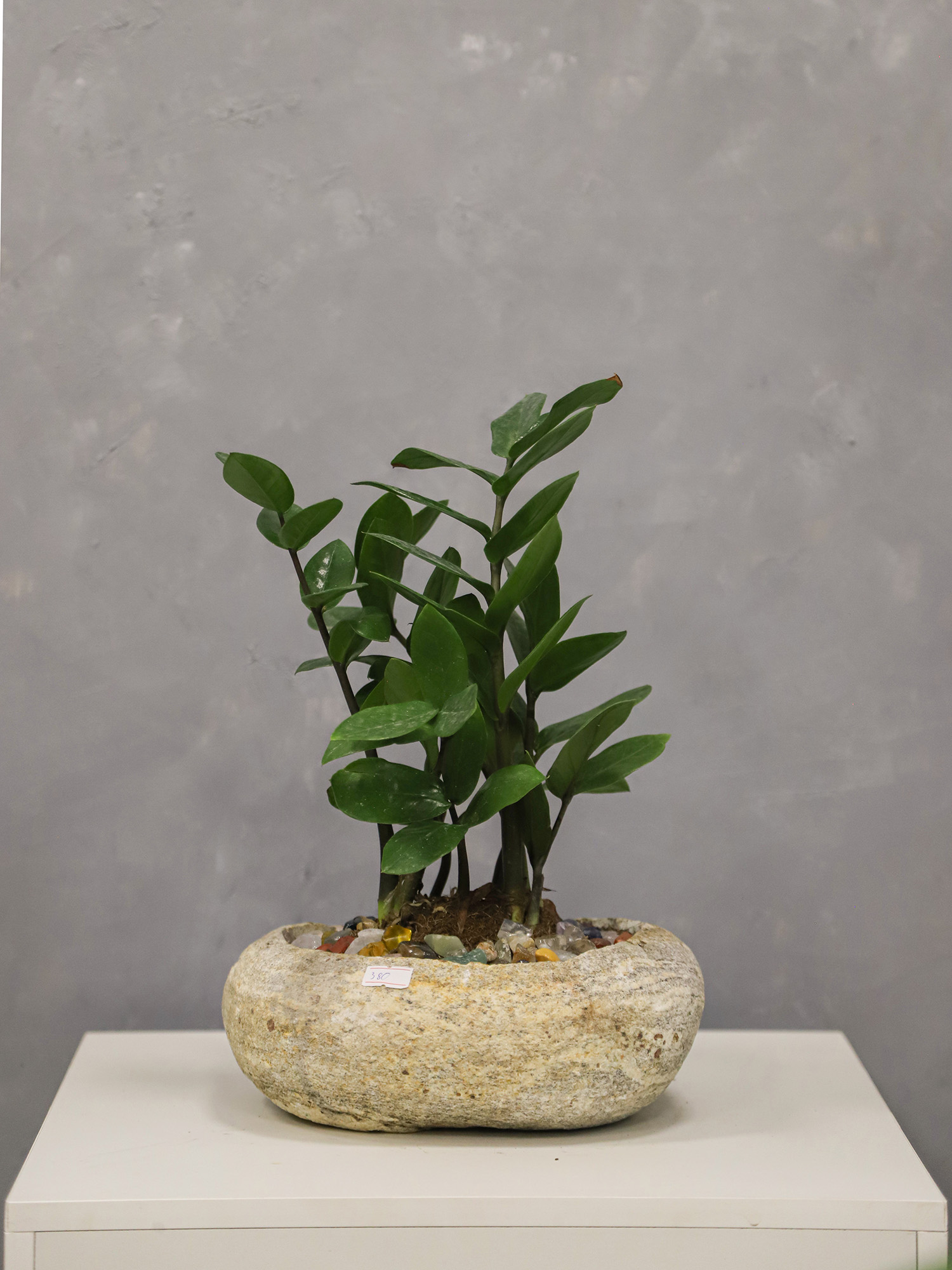Tiểu cảnh đá cuội 04