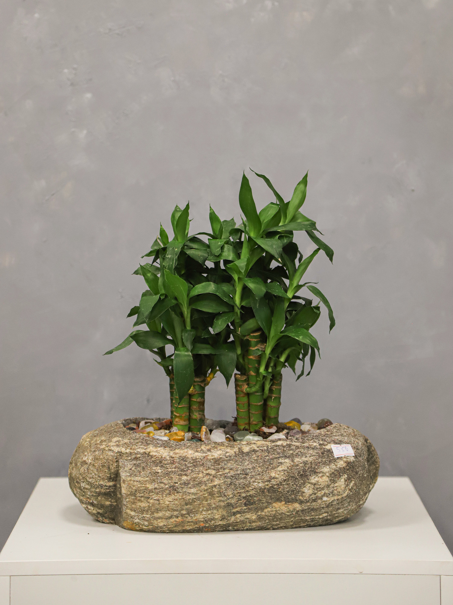 Tiểu cảnh đá cuội 07