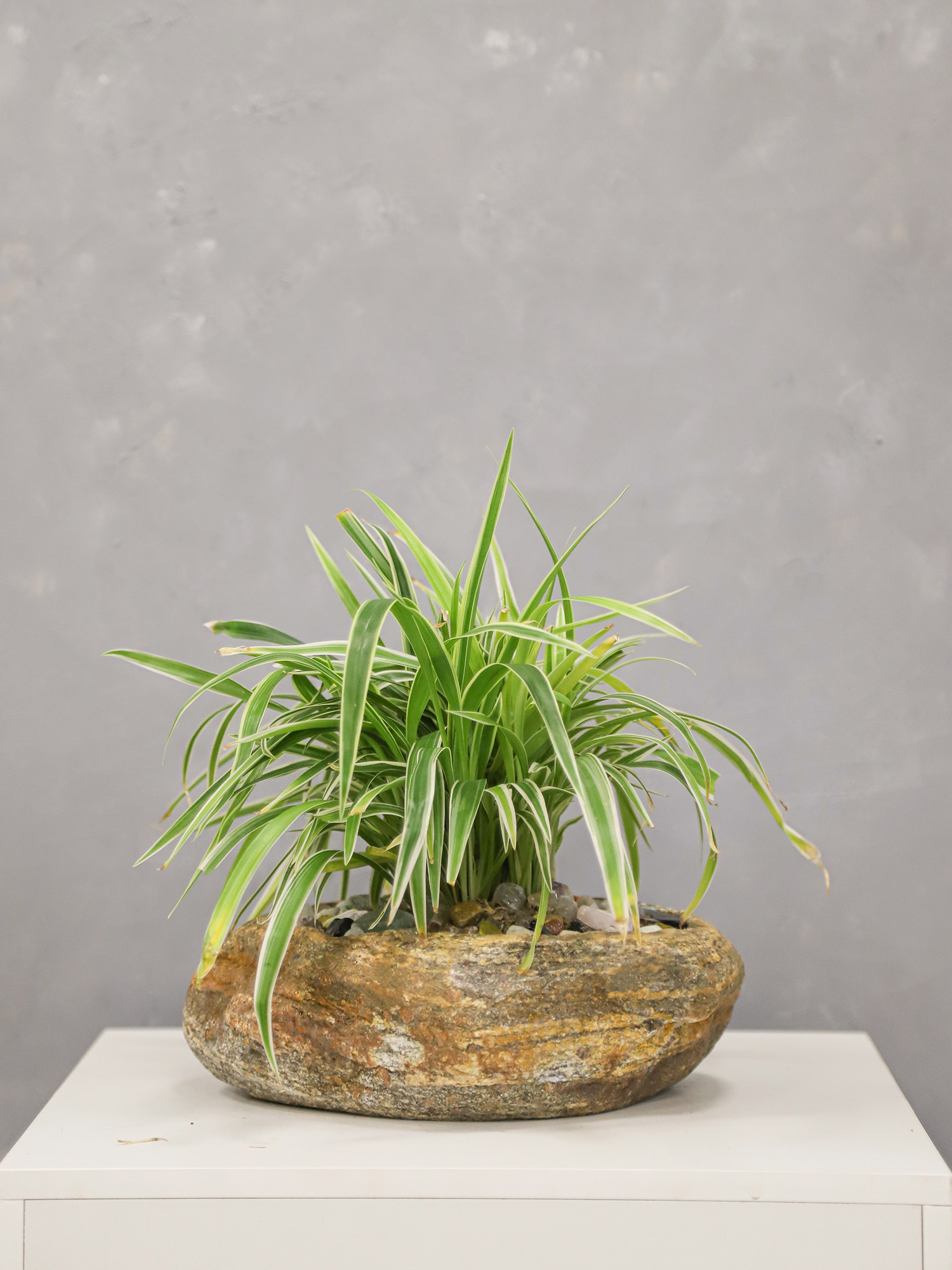 Tiểu cảnh đá cuội 10